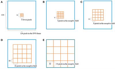 A Retinotopic Spiking Neural Network System for Accurate Recognition of Moving Objects Using NeuCube and Dynamic Vision Sensors